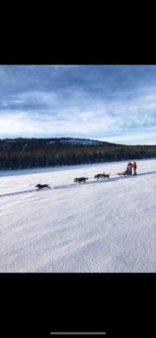 Northern Light Huts - Paradise Lapland Кируна Экстерьер фото